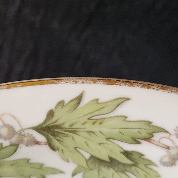 Franconia-Krautheim Porcelain "Sycamore" Dinner Plate Leaf Pattern Fall Dining - Picture 6 of 6